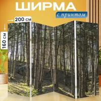 Ширма перегородка с принтом "Древесина, природа, дерево" на холсте - 200x160 см. для зонирования, раскладная