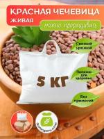 Чечевица красная 5 кг