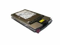 364622-B21 Hewlett-Packard 300-GB 10K FC-AL HDD