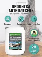 Средство от плесени Антиплесень 5л PROFESSIONAL пропитка-концентрат