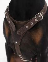 Кожаная шлейка Dober-Крут для собак всех пород коричневая