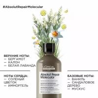 Absolut Repair Molecular Шампунь для молекулярного восстановления волос 300 мл