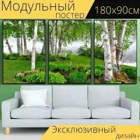 Модульный постер "Березы, пейзаж, природа" 180 x 90 см. для интерьера