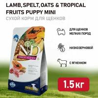 Farmina N&D Dog Tropical Selection Lamb Puppy Mini сухой корм для щенков мелких пород, с ягненком - 1,5 кг