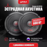 Акустическая система урал патриот АС-ПТ165 600/300 Вт. 2 Динамика