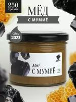 Мед с алтайским мумие 250 г в стеклянной банке, для иммунитета, вкусный подарок