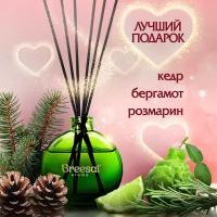 Breesal ароматический диффузор Aromatherapy Жизненная энергия, 70 мл,