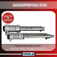 Балансирные валы комплект/для всей линейки VAG, Gen1-Gen2/с моторами 1.8-2.0 TSI/Skoda/Audi/Volkswagen