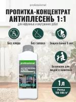 Средство от плесени антиплесень ультра 1л PROFESSIONAL антисептическая пропитка-концентрат 1:1