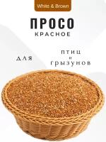 Корм для попугаев "Красное просо" 1 кг