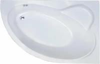 Акриловая ванна Royal Bath Alpine RB819102R 170x100x58