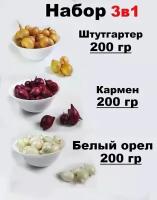 Набор Лука Севка (Белый орел, Кармен, Штуттгартер ризен) по 200гр