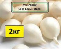 Лук севок Белый Орел 2 кг. Урожай 2023