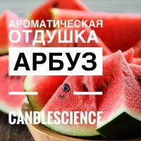 Арбуз. Candlescience, отдушки из США, 25 гр