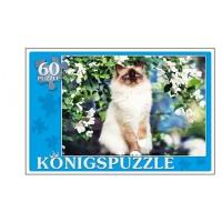 Пазл Konigspuzzle Сиамская кошка (ПК60-5795)