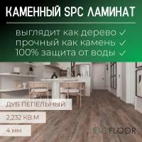 SPC ламинат Evofloor Home - Oak Ashen (Дуб Пепельный)