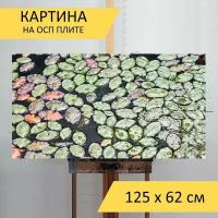 Картина на ОСП 125х62 см. "Пруд жизнь, плавающий лист, плавающие цветочные подушки" горизонтальная, для интерьера, с креплениями