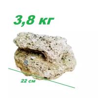 Камень валун для аквариума, скала, для ландшафтного дизайна кг, размер 22 см*20см*10см