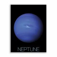 Постер, плакат на бумаге / NASA (Коллекция Постеров) - Neptune / Нептун / Размер 30 x 40 см