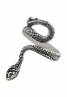 Кольцо бижутерное Змея (Безразмерное, Бижутерный сплав, Серебристый) 6-80039