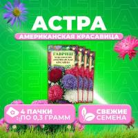 Астра Американская красавица, смесь, 0,3г, Гавриш, Цветочная коллекция (4 уп)