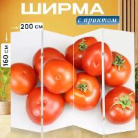 Ширма перегородка с принтом "Помидор, овощ, свежий помидор" на холсте - 200x160 см. для зонирования, раскладная