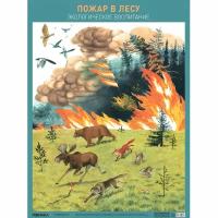 Плакат Мозаика-Синтез Наглядные пособия. Пожар в лесу, А2, 2022