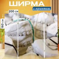 Ширма перегородка с принтом "Зубы, модели, гипс" на холсте - 200x160 см. для зонирования, раскладная