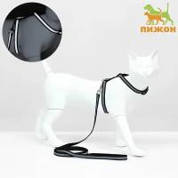 Комплект для кошек светоотражающий,ширина 1 см,шлейка 21-35 см,поводок 120 см, чёрный 9912209