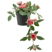 Искусственное растение в горшке, для дома, улицы Роза/подвесной розовый 9 см IKEA FEJKA 705.064.97