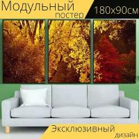 Модульный постер "Осеннее дерево, ветви, листья" 180 x 90 см. для интерьера