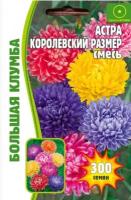 Астра Королевский Размер смесь 150 шт редкие семена (2шт в упаковке)