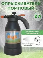 Опрыскиватель помповый садовый ручной пневматический опрыскиватель Жук, 2 л