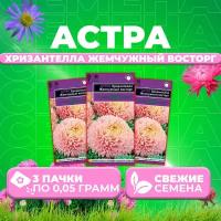 Астра Хризантелла Жемчужный восторг, 0,05г, Гавриш, Satimex (3 уп)