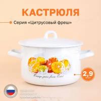 Кастрюля эмалированная для плиты 2,9 л