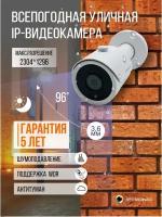 Уличная камера IPTRONIC IPT-IPL720BM(3,6)P