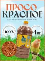 Просо красное для попугаев и домашних птиц 4 кг