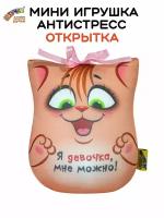 Штучки, к которым тянутся ручки/ Мягкая игрушка-открытка антистресс Кошка "Я девочка", 17 см