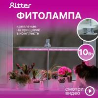 Фитолампа для растений на кронштейне с прищепкой Ritter 56304 4, 10Вт, 572х21х32мм. Cветильник Т5 LED линейный, УФ свет, выкл. на корпусе, провод 2м