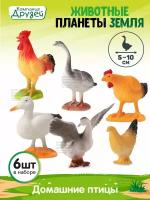 Игровой набор "Домашние птицы" ТМ компания друзей, серия "Животные планеты Земля", 6 фигурок, JB0207201