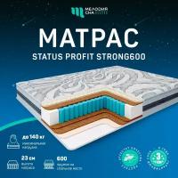 Матрас Статус Профит Стронг600 160х200