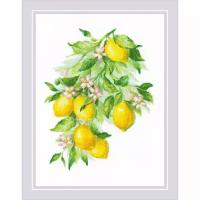 Набор для вышивания крестом Яркие лимоны Риолис арт.2054 30х40 см
