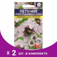 Семена цветов Петуния "Превосходнейшая Альба", Низкорослые гиганты, Сем. Алт, ц/п, 10 шт (2шт.)