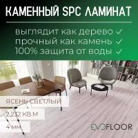 SPC ламинат Evofloor Home - Ash Light (Ясень Светлый)