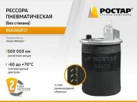 Рессора пневматическая (без стакана) R6608DF01 (6608NP01/O)