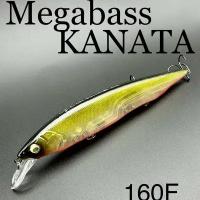 Воблер для рыбалки троллинговый Megabass KANATA биг-минноу 160F