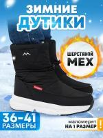 Дутики женские Winter черный 39