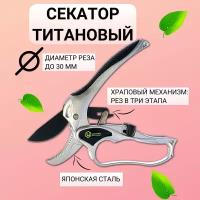 ЦентрИнструмент Секатор титановый с храповым механизмом 0233