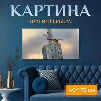 Картина на холсте "Стрекоза, крылья стрекозы, насекомое" на подрамнике 75х40 см. для интерьера