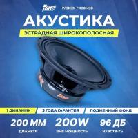 Акустика эстрадная AMP Hybrid FR80M38 широкополосная (1шт.)